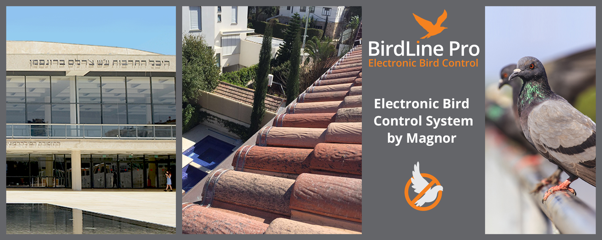 Magnor_BIRD_ CONTROL_web page_FINAL_ENG